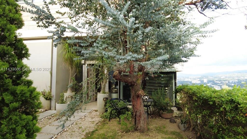 46 Cerro Real Alto Las Palomas gallery image #12