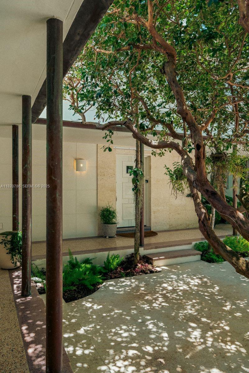 6165 Pine Tree Drive