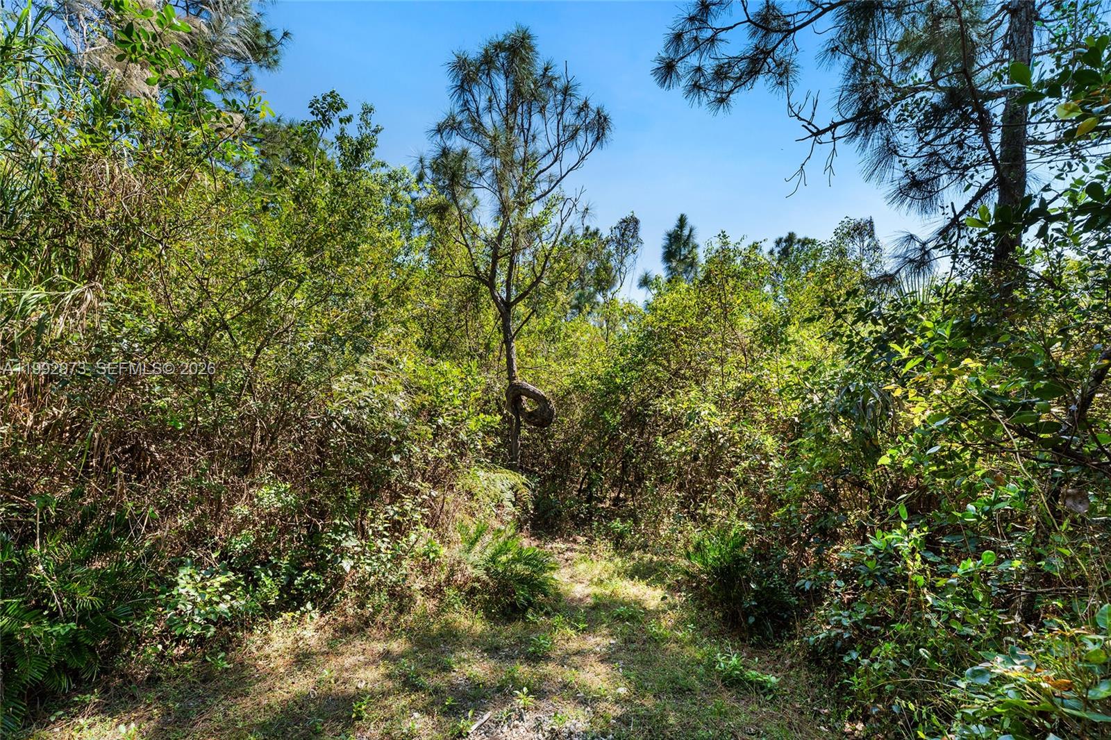 15000 SW 200th Street