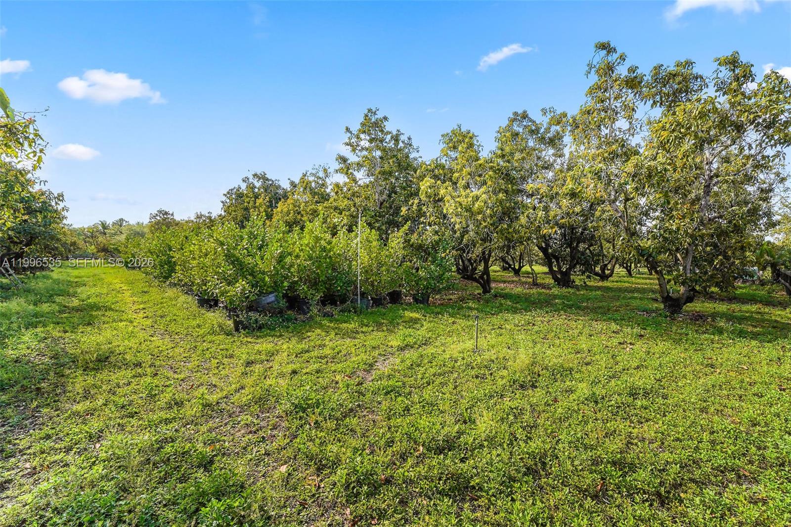 15001 SW 256th Street