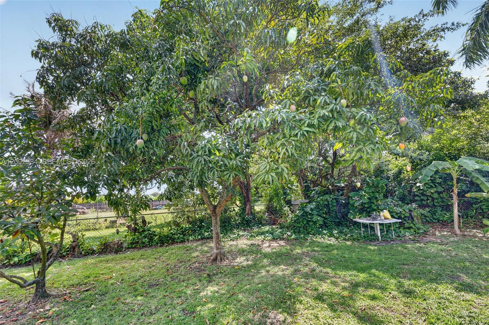 1490 NW 8th Street