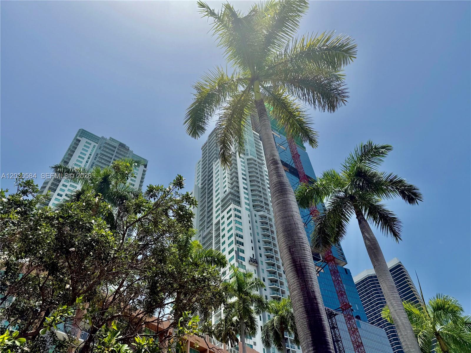 244 Biscayne Boulevard