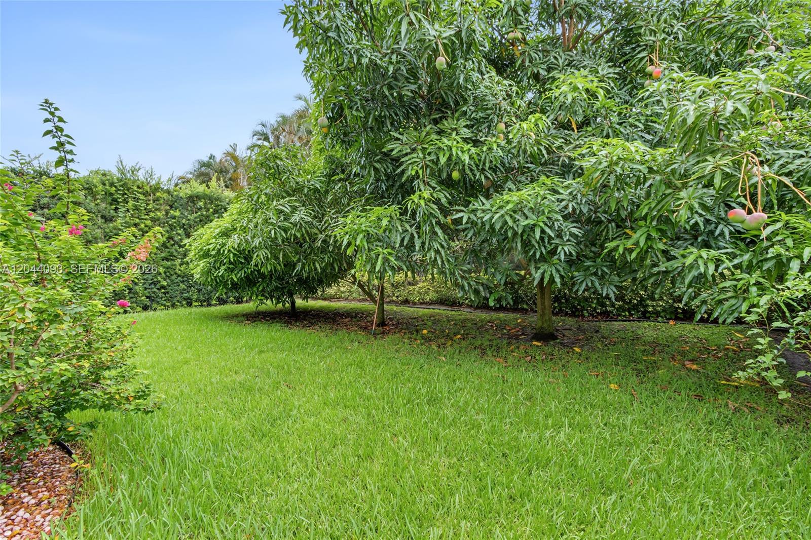 4200 Key Lime Boulevard