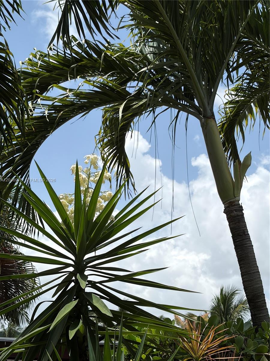 1401 Argonaut Isle
