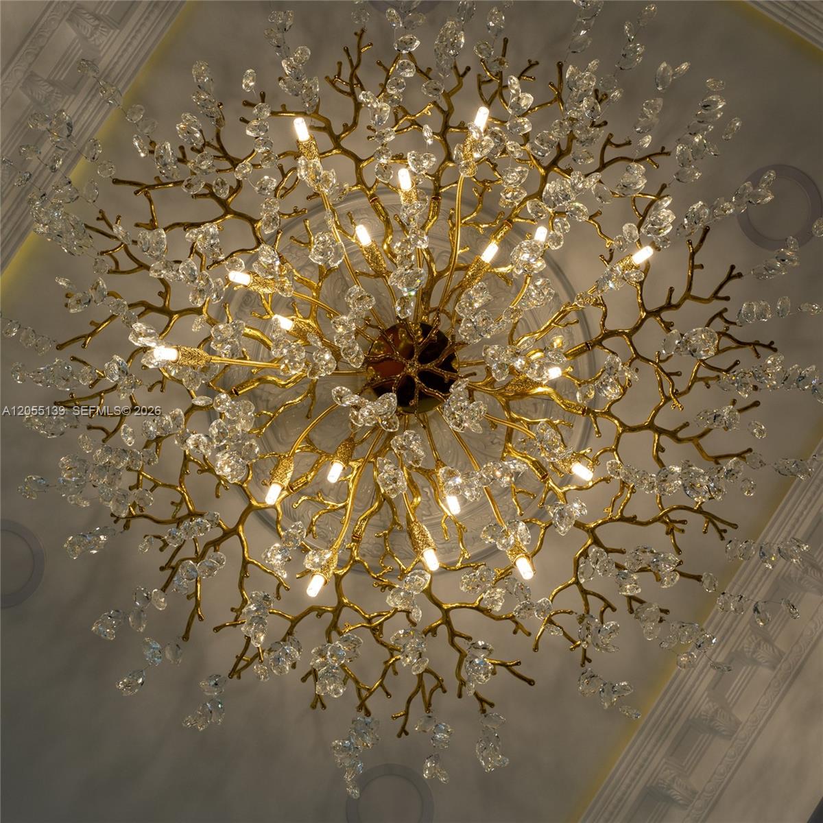 12051 NW 20th Street