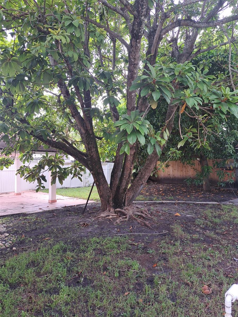 3062 SW 14th Street