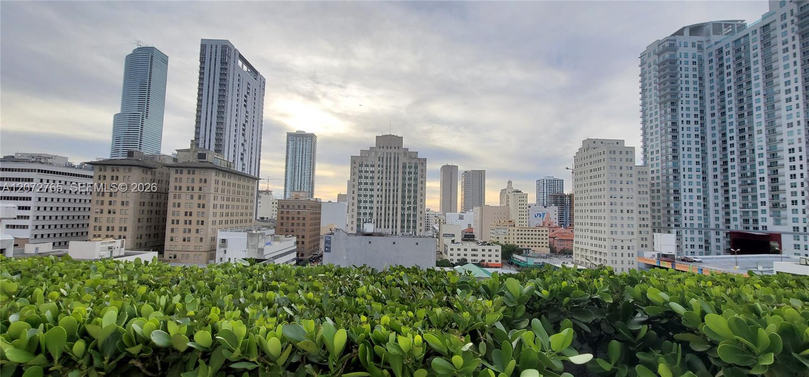 50 Biscayne Boulevard