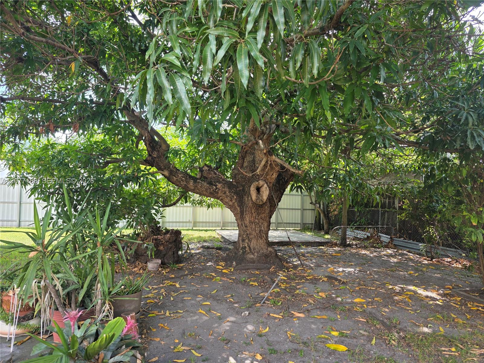 3070 NW 6th Street