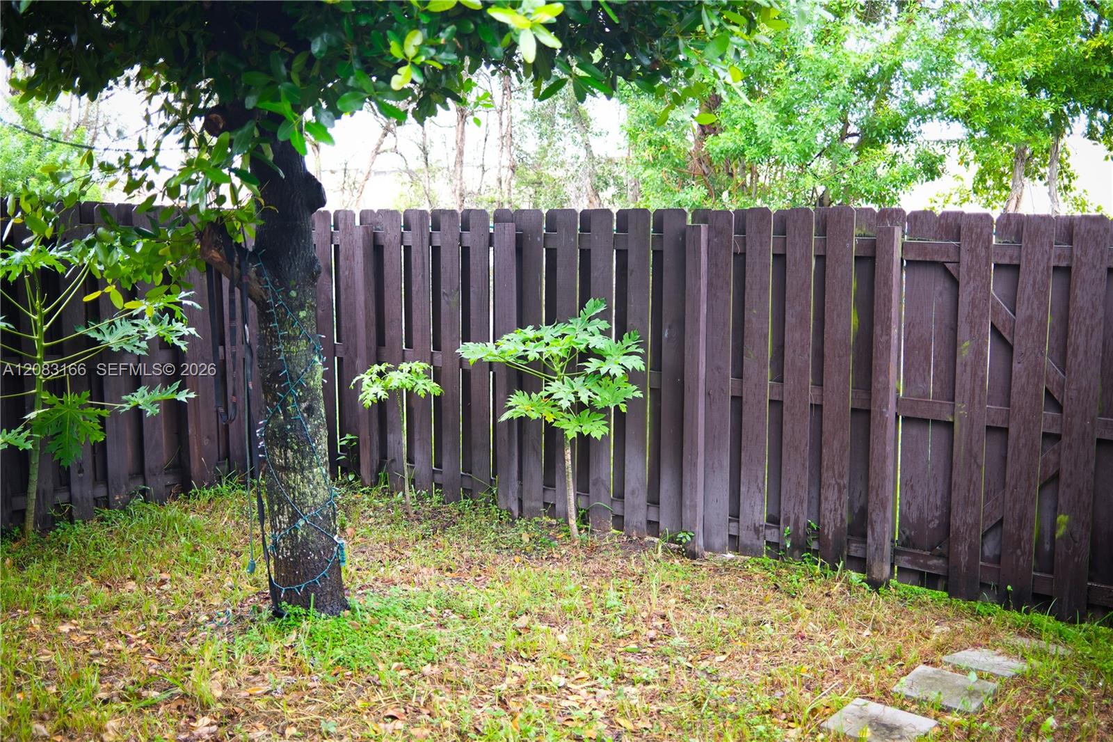 116 NW Path