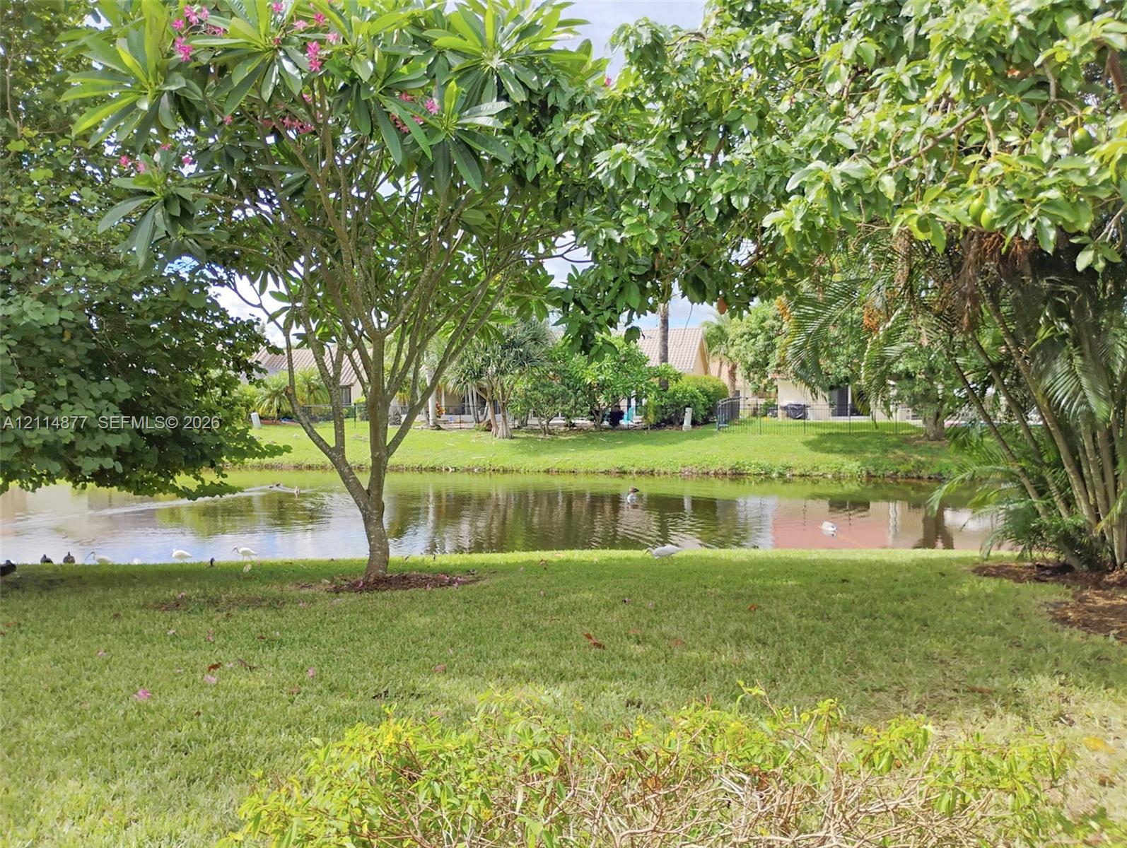 9735 Sun Pointe Drive gallery image #46