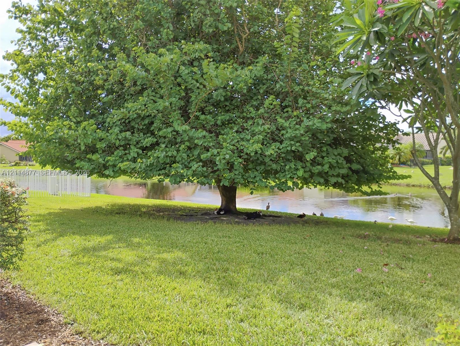 9735 Sun Pointe Drive gallery image #47