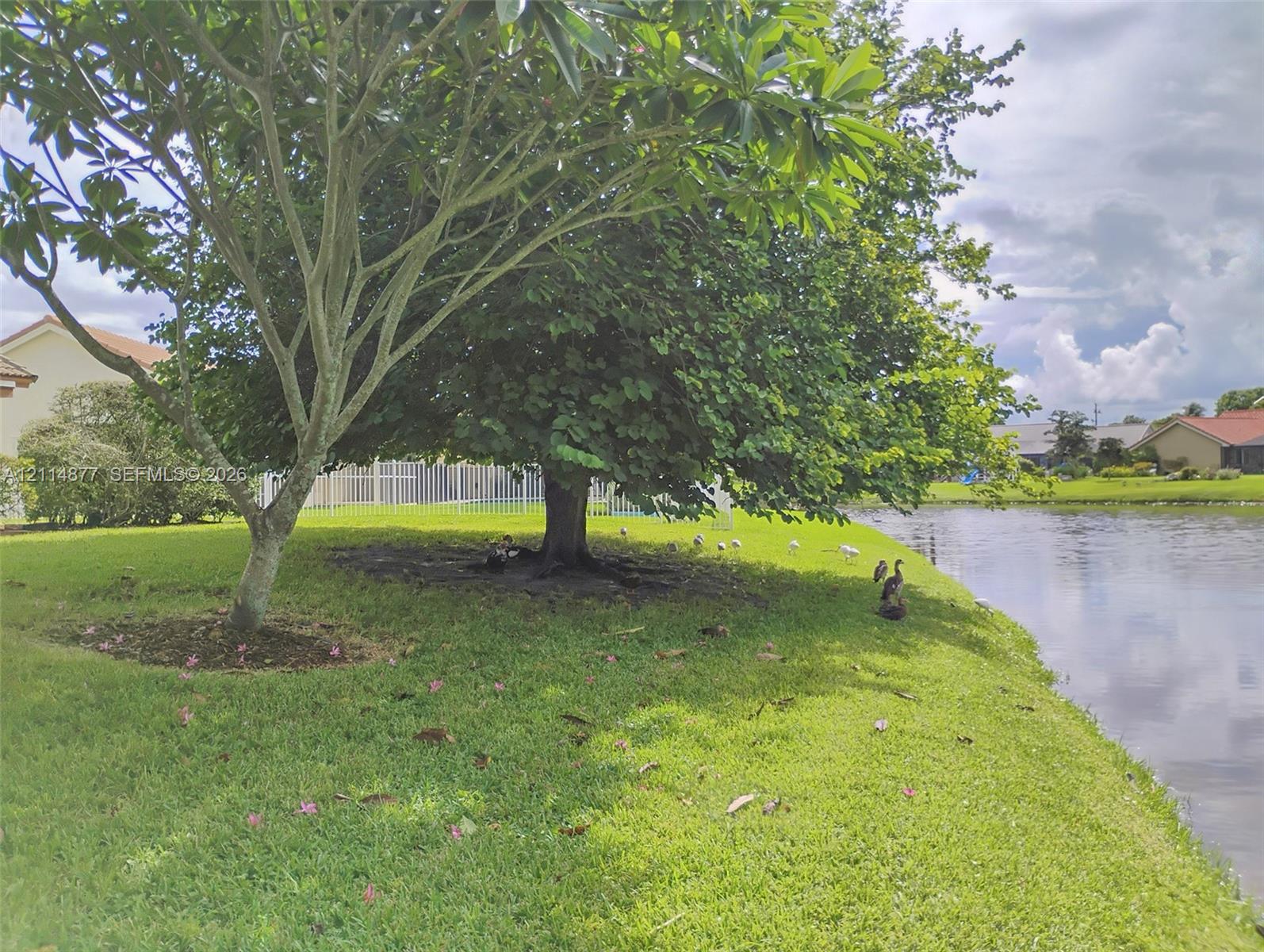 9735 Sun Pointe Drive gallery image #48