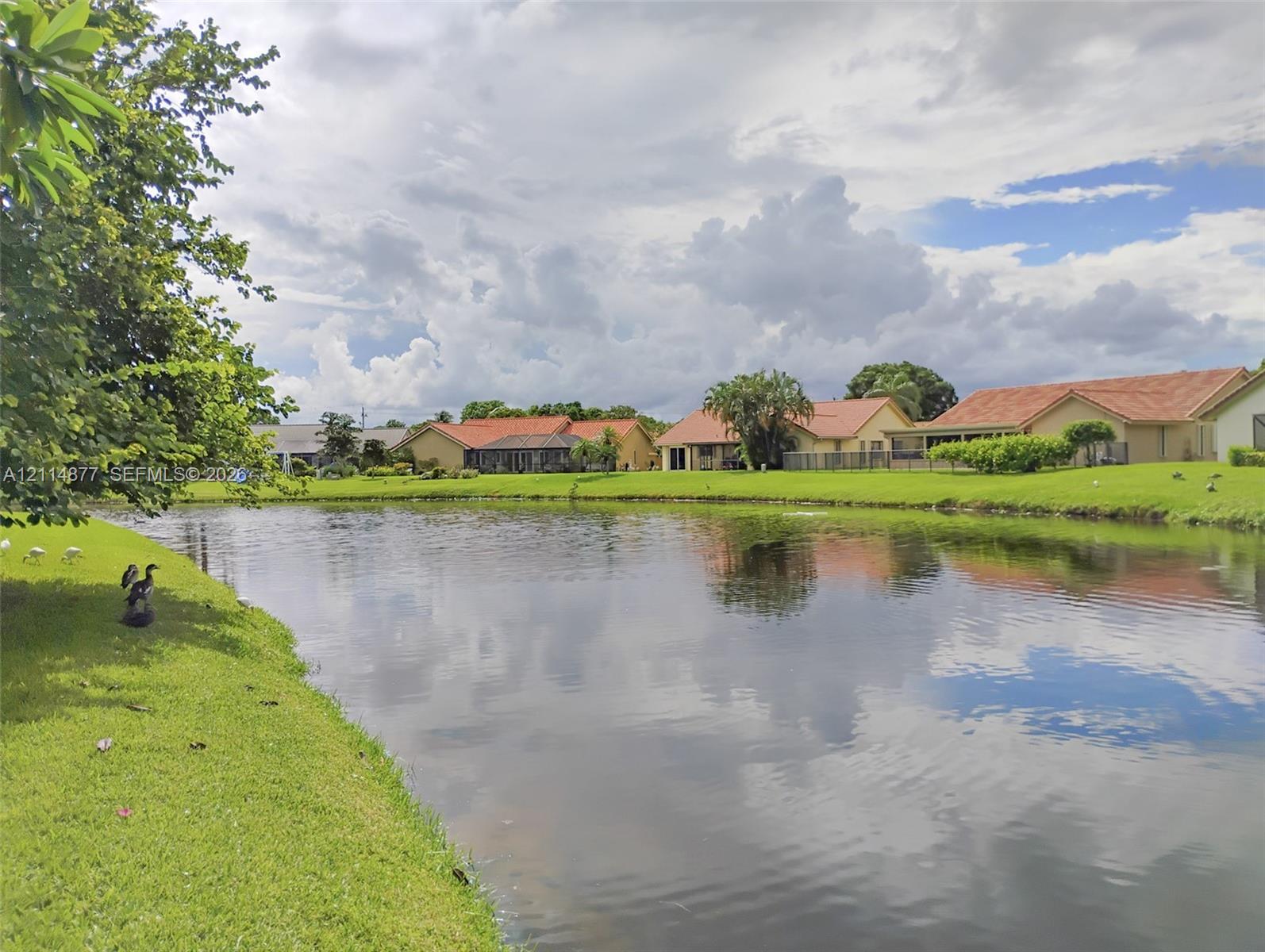 9735 Sun Pointe Drive gallery image #49